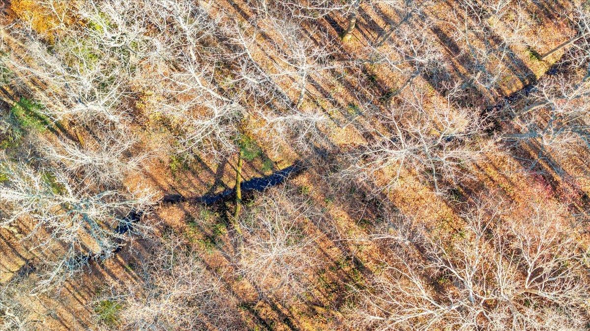 5050 Falkland Road Scottsburg, VA 24589 - Photo 72 of 97