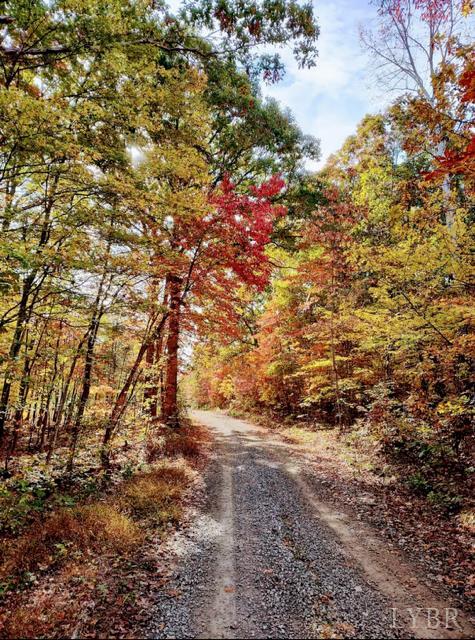 5050 Falkland Road Scottsburg, VA 24589 - Photo 90 of 97