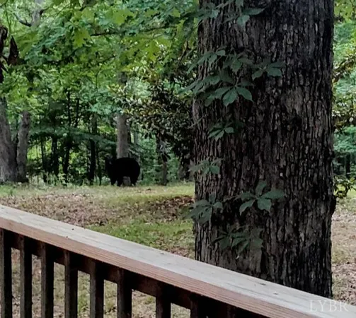 $1,900,000 | 5050 Falkland Road, Scottsburg, VA 24589