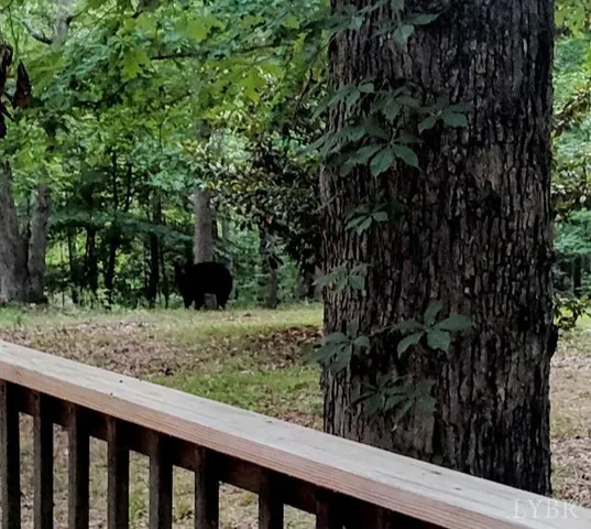 $1,900,000 | 5050 Falkland Road, Scottsburg, VA 24589