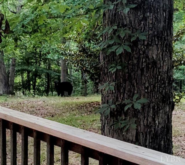 5050 Falkland Road Scottsburg, VA 24589 - Photo 91 of 97