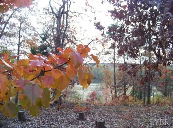 $1,900,000 | 5050 Falkland Road, Scottsburg, VA 24589