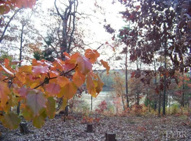 $1,900,000 | 5050 Falkland Road, Scottsburg, VA 24589