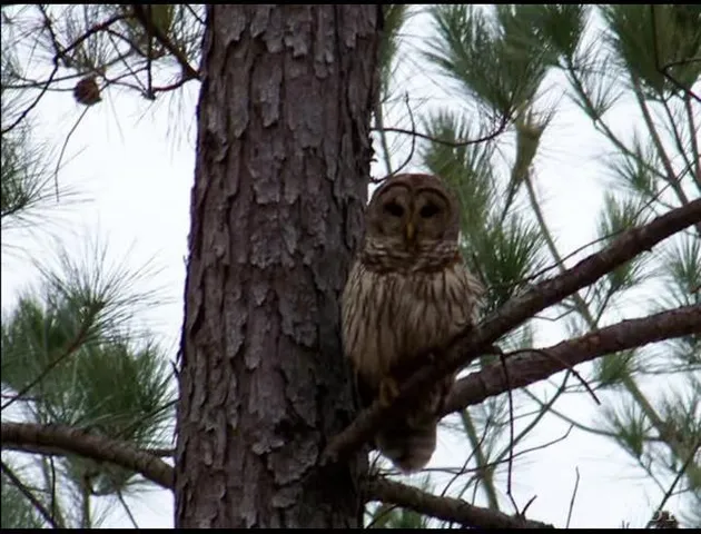 $1,900,000 | 5050 Falkland Road, Scottsburg, VA 24589