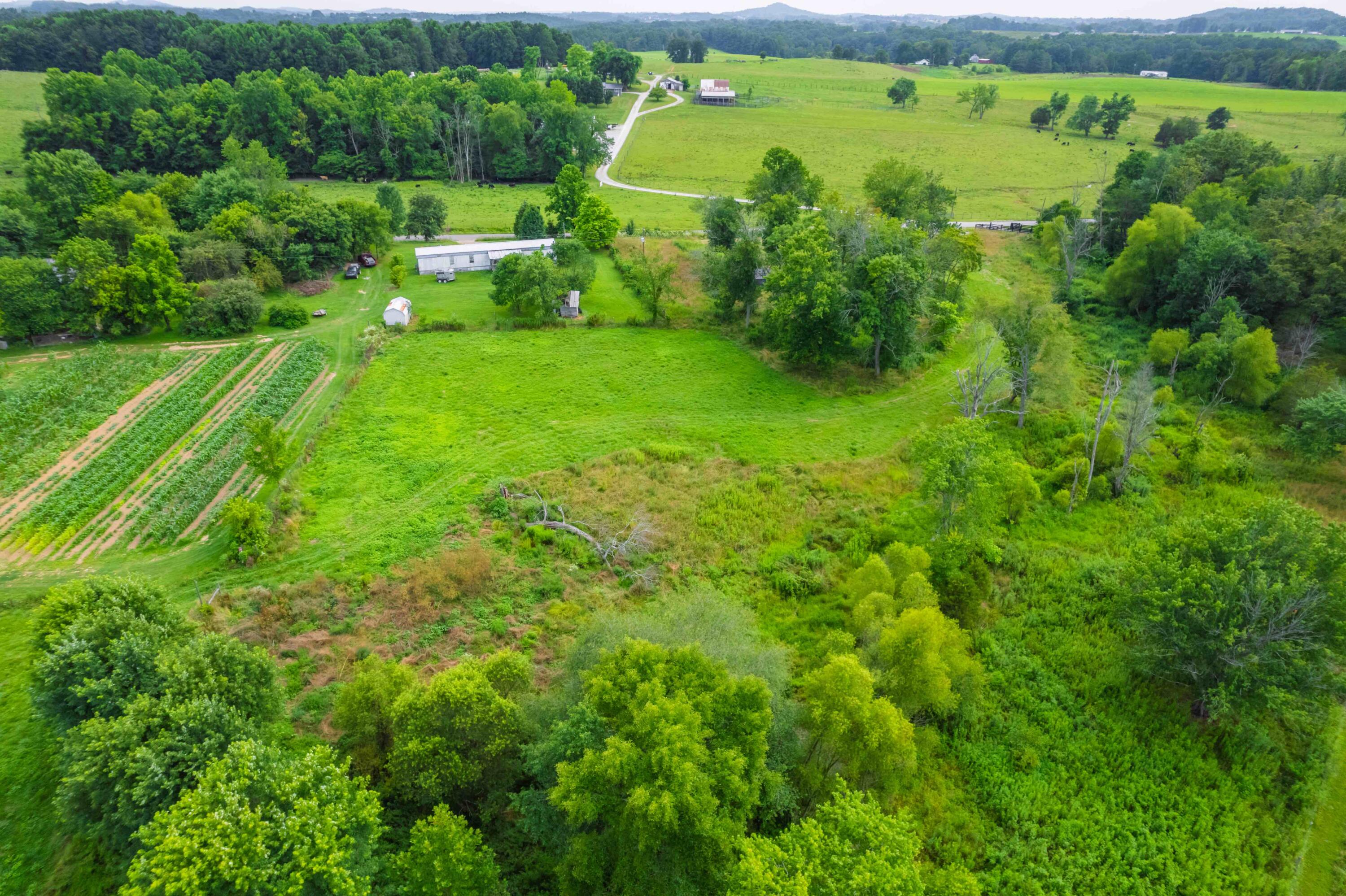 2040 Old Bull Road Eubank, KY 42567 - Photo 19 of 33 DJI_010219