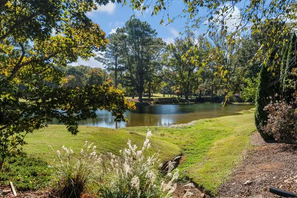 a view of yard with swimming pool and green space