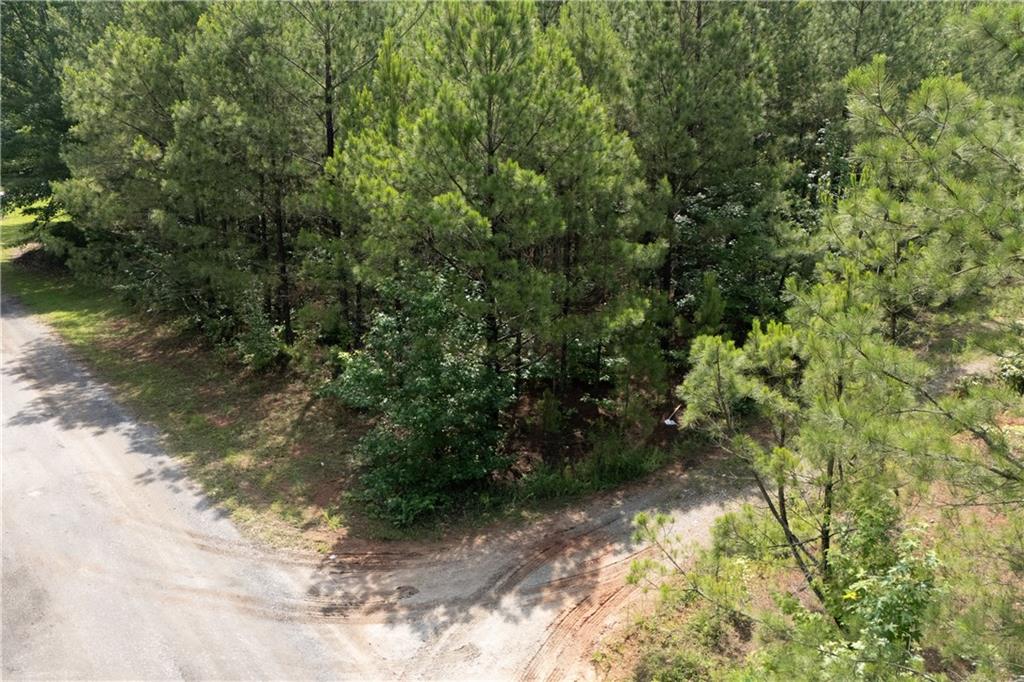 0 Ono Road Palmetto, GA 30268 - Photo 6 of 23