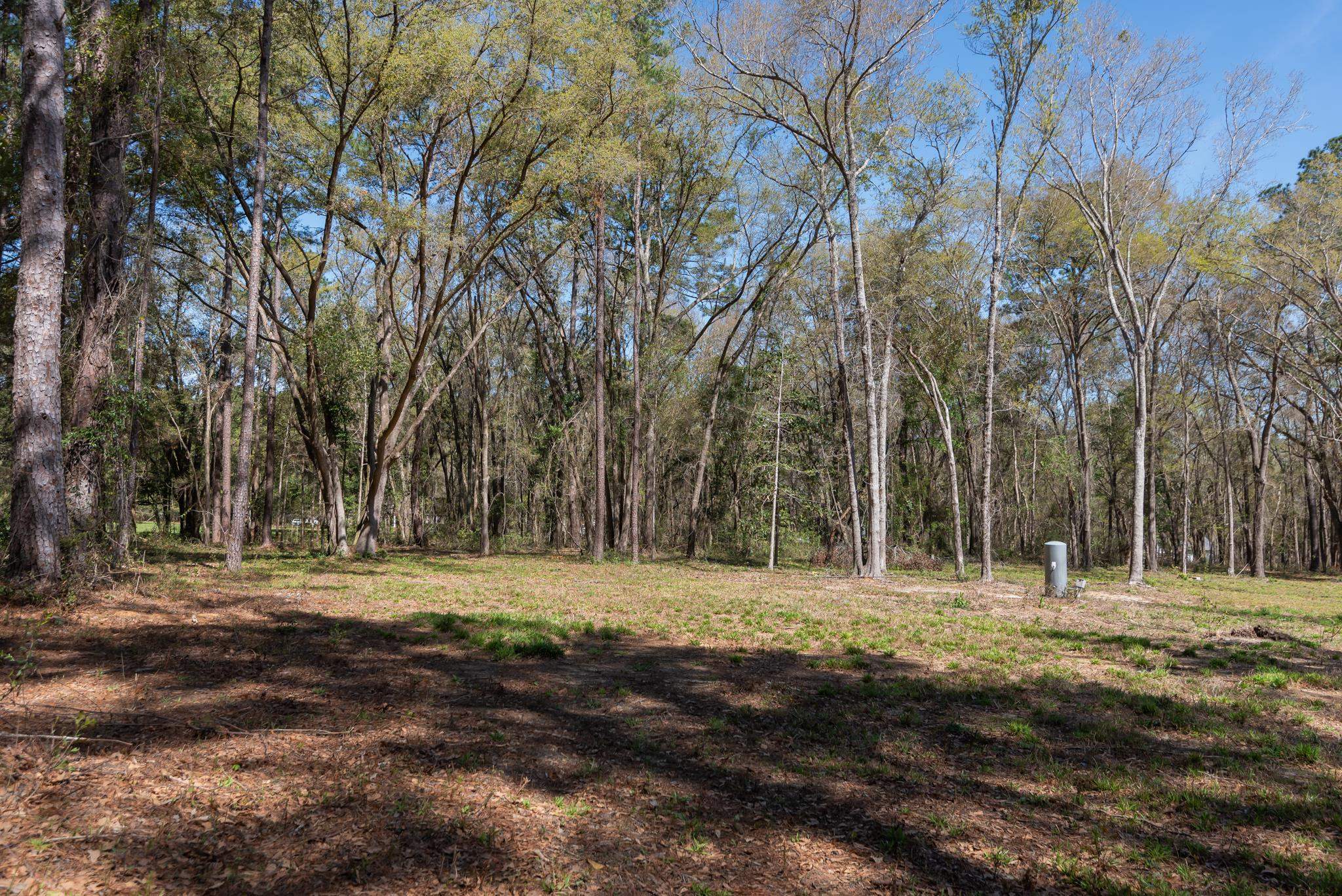 0 Stargate Way Tallahassee, FL 32309 - Photo 12 of 12
