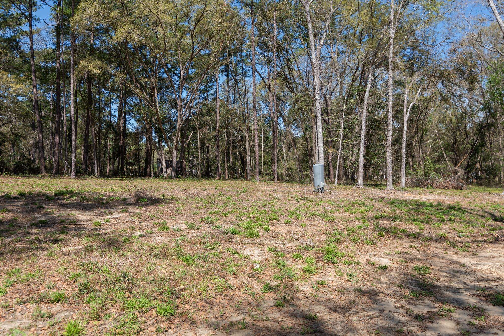 0 Stargate Way Tallahassee, FL 32309 - Photo 3 of 12