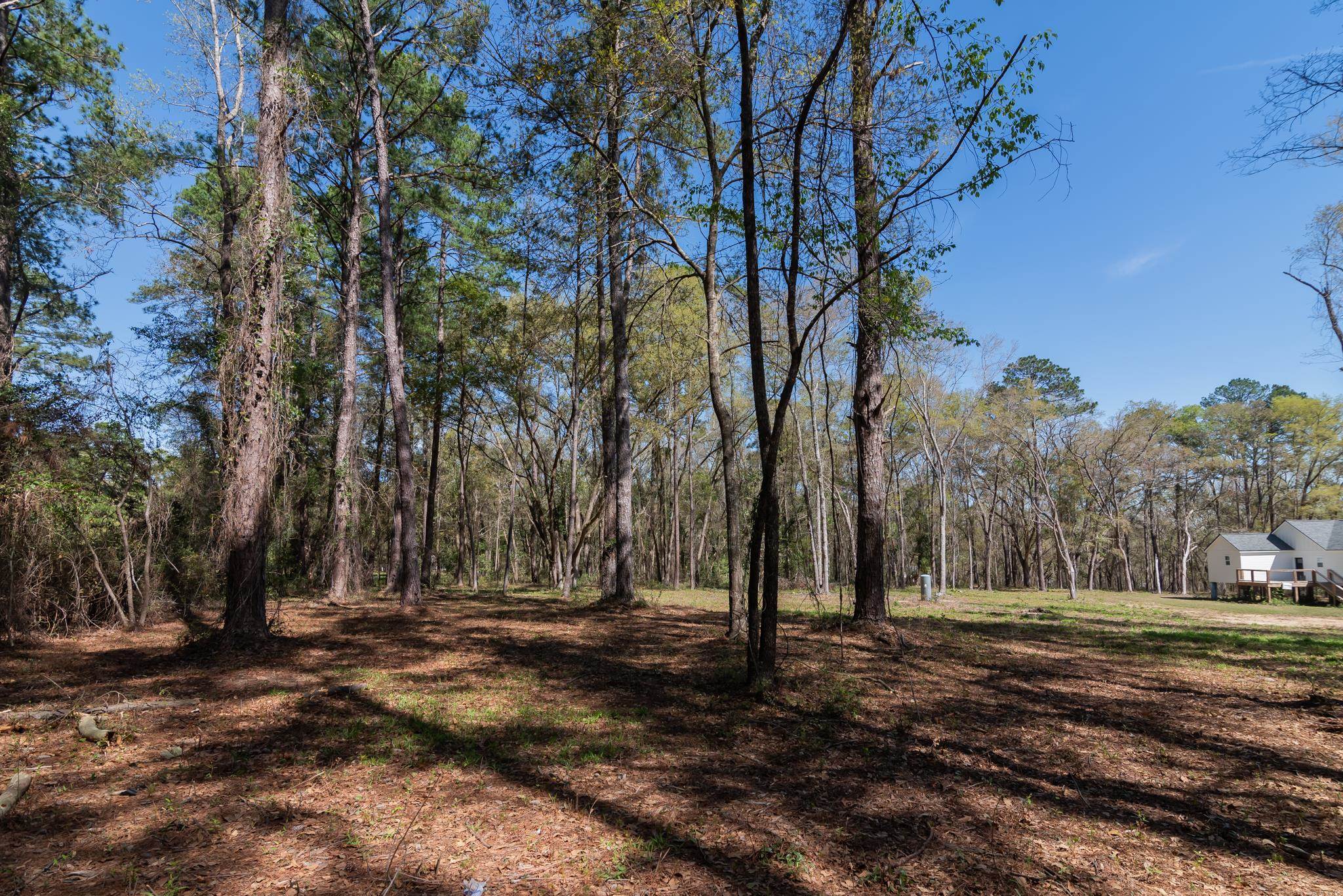0 Stargate Way Tallahassee, FL 32309 - Photo 4 of 12