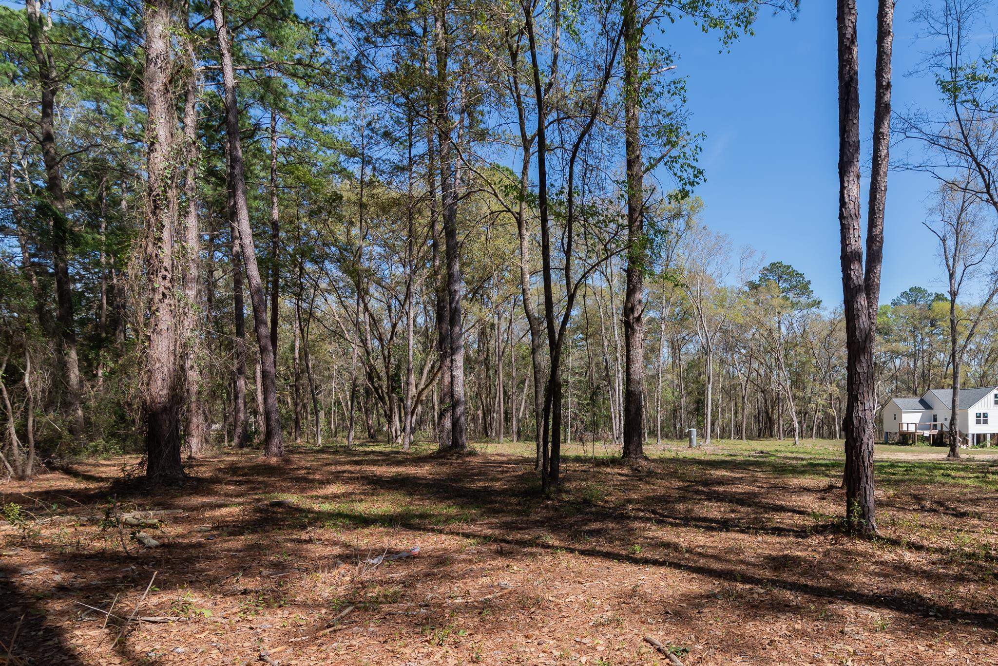 0 Stargate Way Tallahassee, FL 32309 - Photo 5 of 12