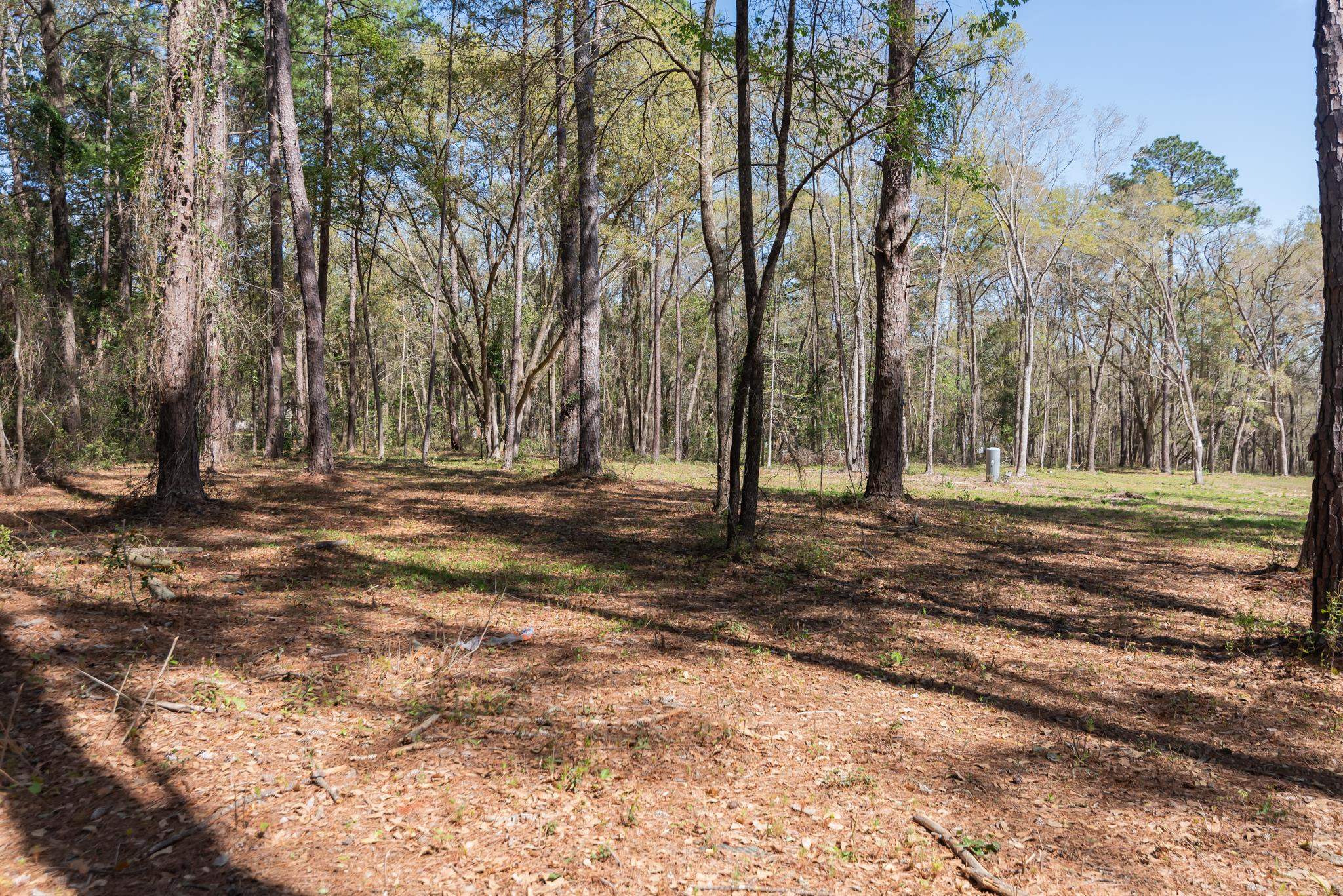 0 Stargate Way Tallahassee, FL 32309 - Photo 6 of 12