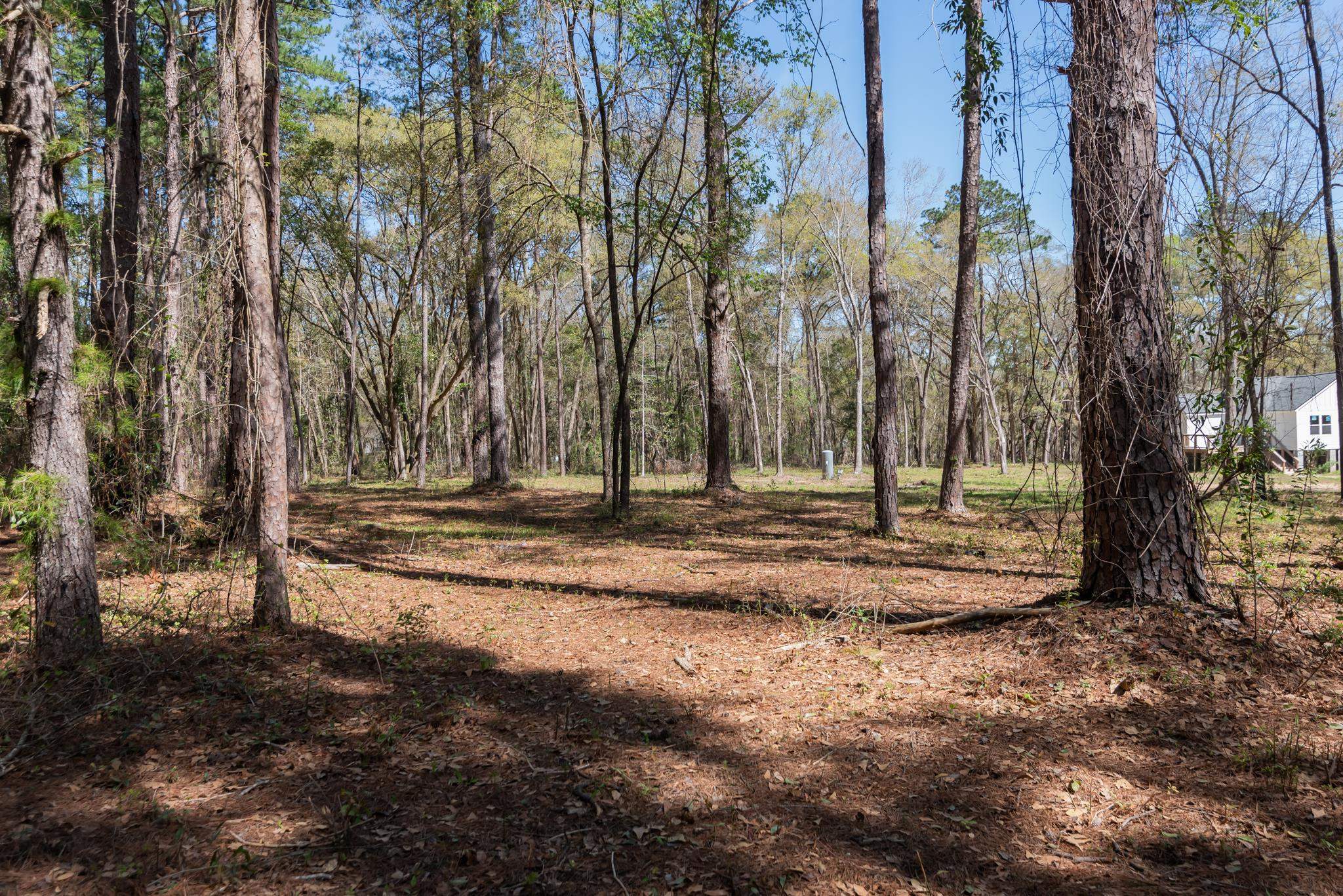 0 Stargate Way Tallahassee, FL 32309 - Photo 7 of 12