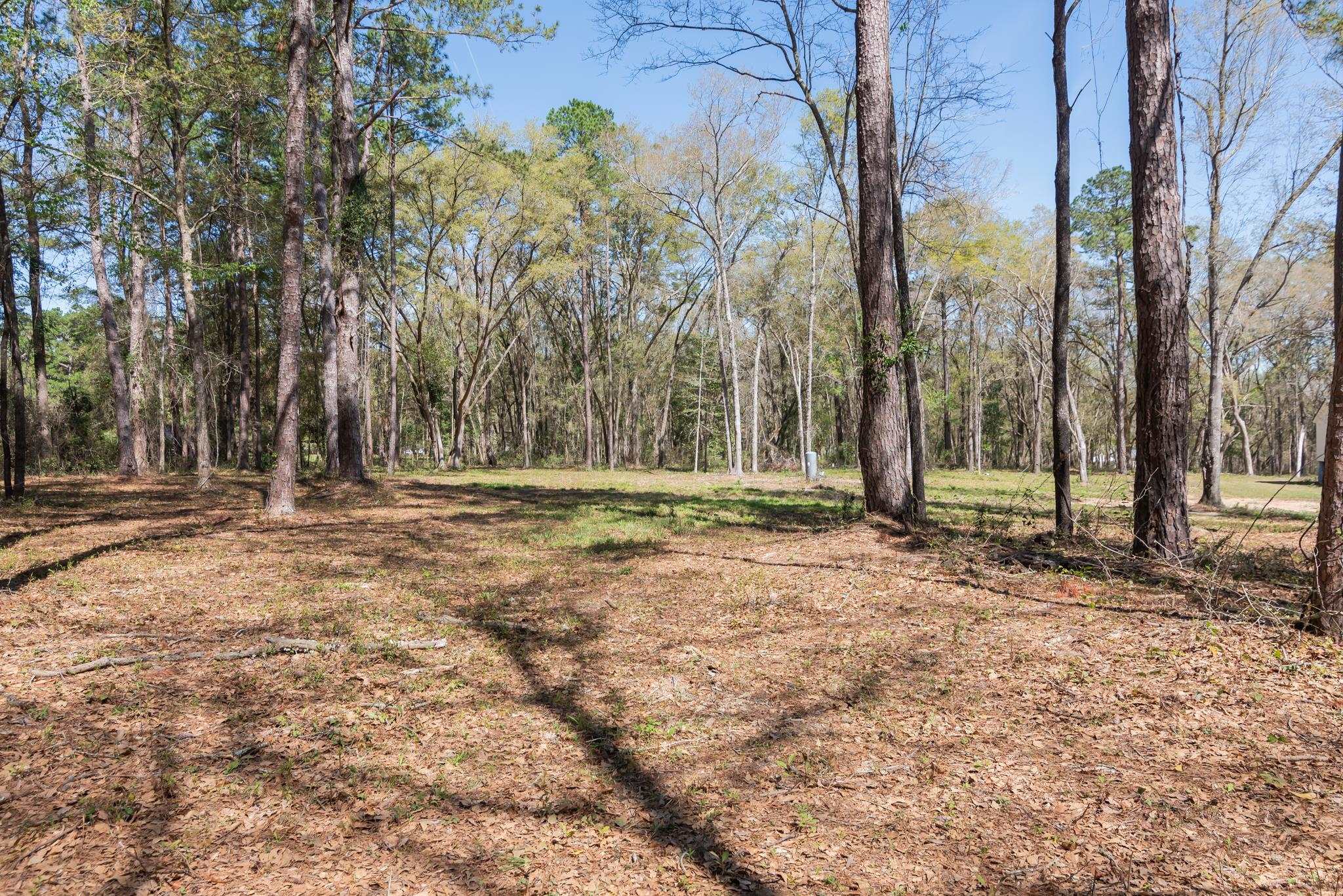 0 Stargate Way Tallahassee, FL 32309 - Photo 8 of 12