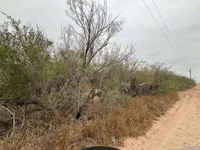 a view of a yard with a tree