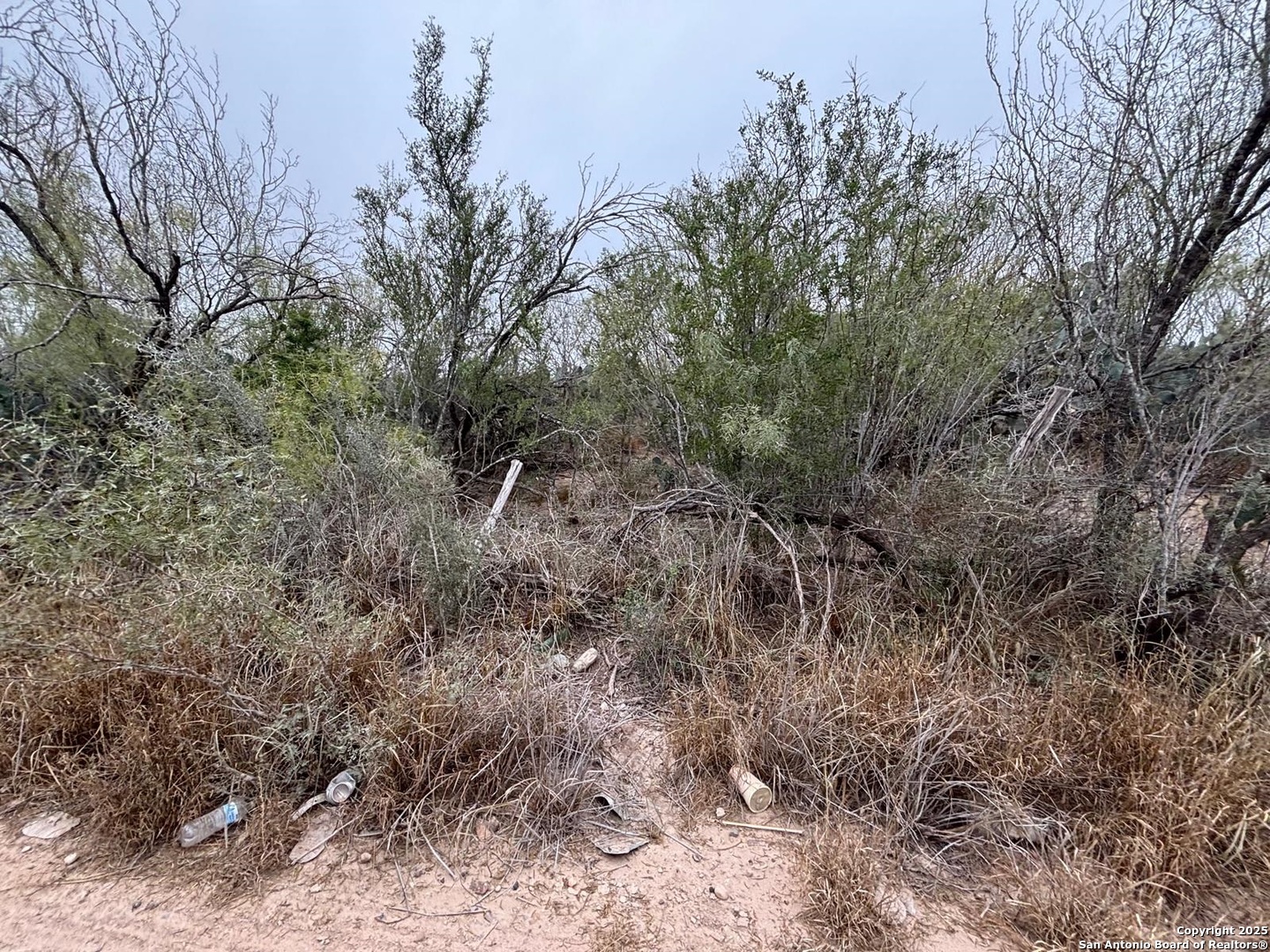 Lot 60 Ranchitos Los Fresnos Laredo, TX 78043 - Photo 12 of 12 a view of a forest with trees in the background