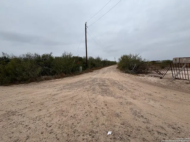 a view of a dry yard with a tree