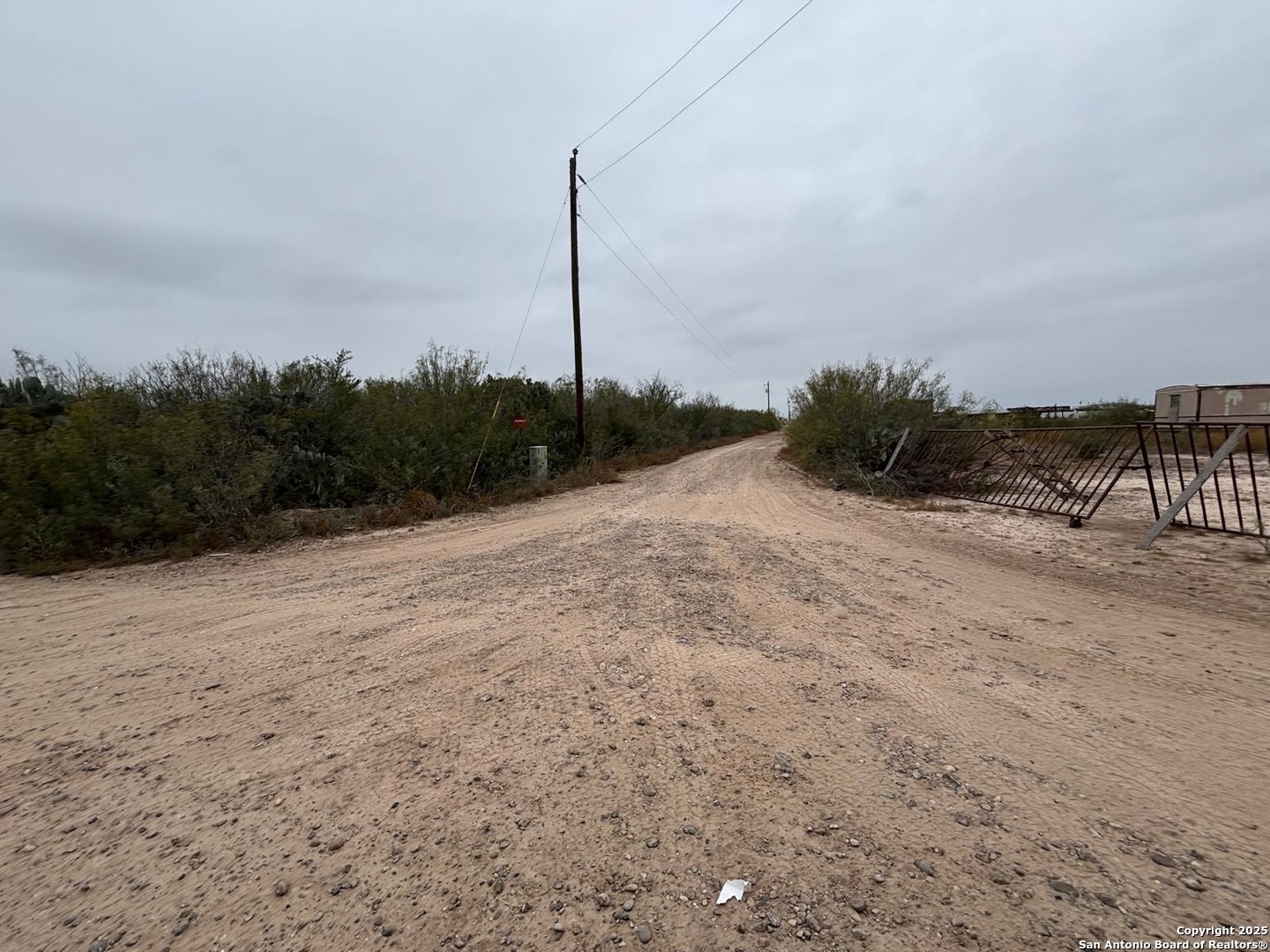 Lot 60 Ranchitos Los Fresnos Laredo, TX 78043 - Photo 3 of 12 a view of a dry yard with a tree