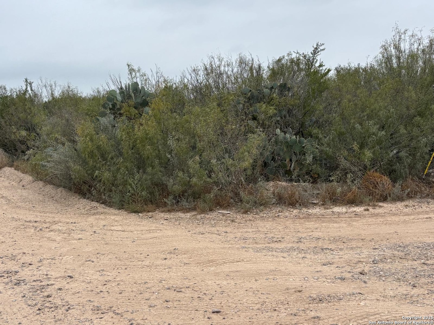 Lot 60 Ranchitos Los Fresnos Laredo, TX 78043 - Photo 4 of 12 a view of mountain view