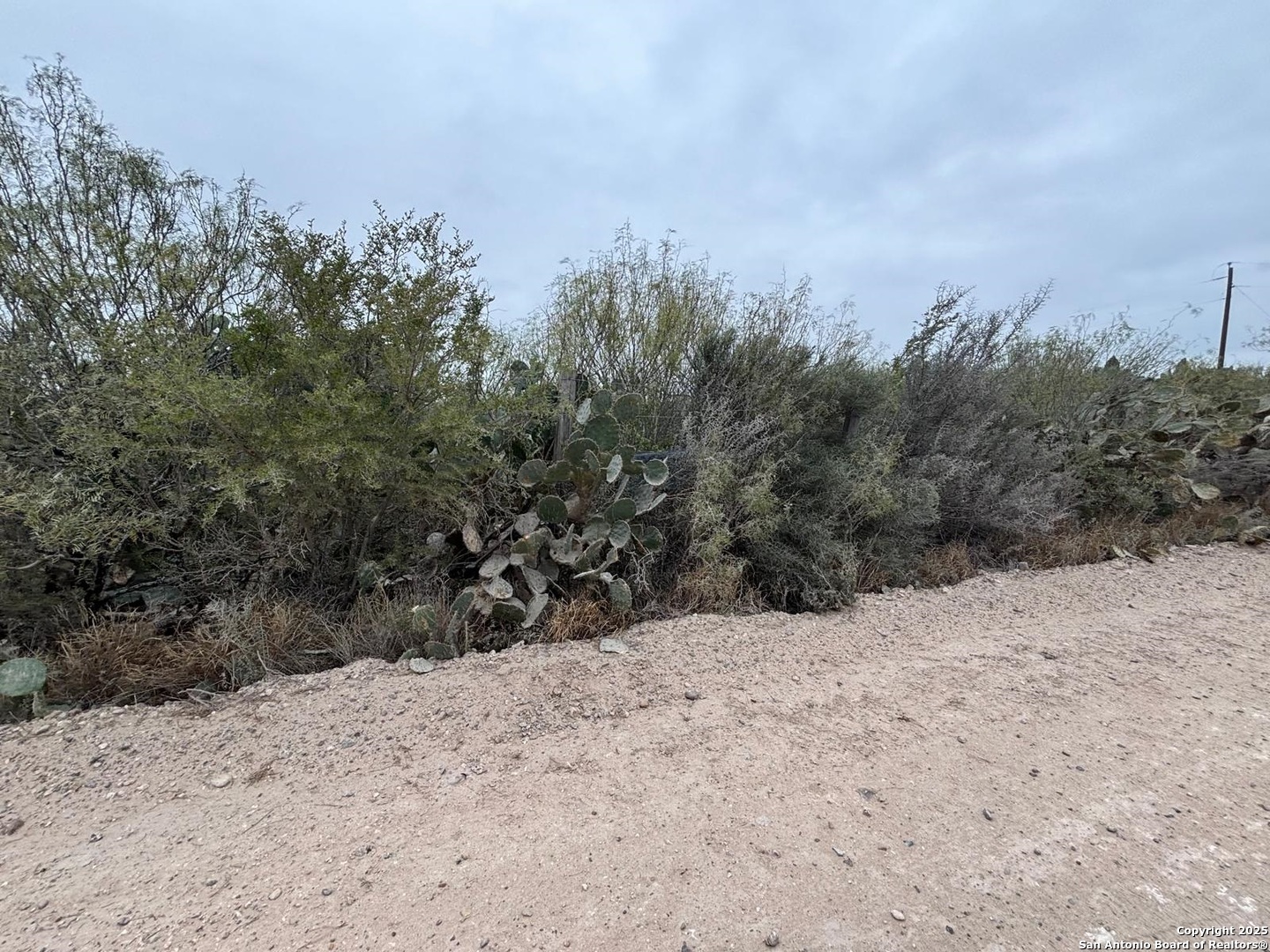 Lot 60 Ranchitos Los Fresnos Laredo, TX 78043 - Photo 5 of 12 a view of a covered with snow in the background