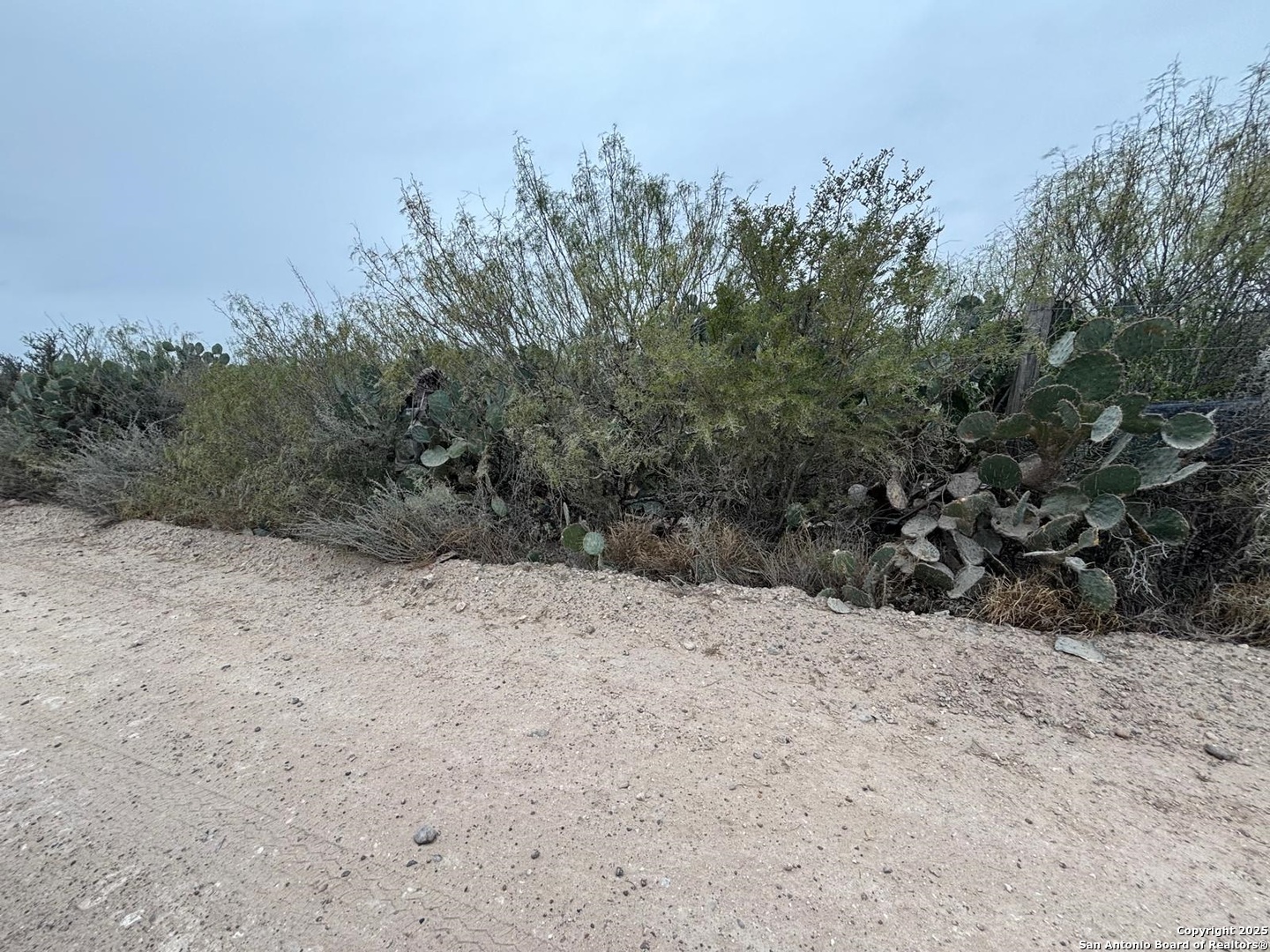 Lot 60 Ranchitos Los Fresnos Laredo, TX 78043 - Photo 6 of 12 a view of a covered with snow in the background