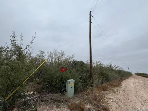 a view of a flower in front of house