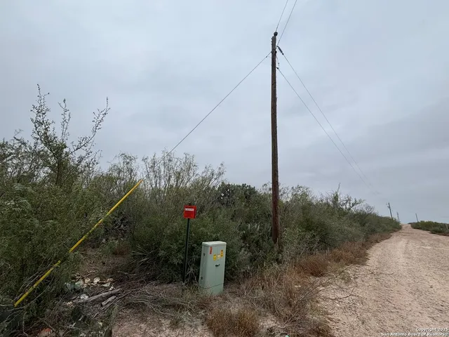 a view of a flower in front of house