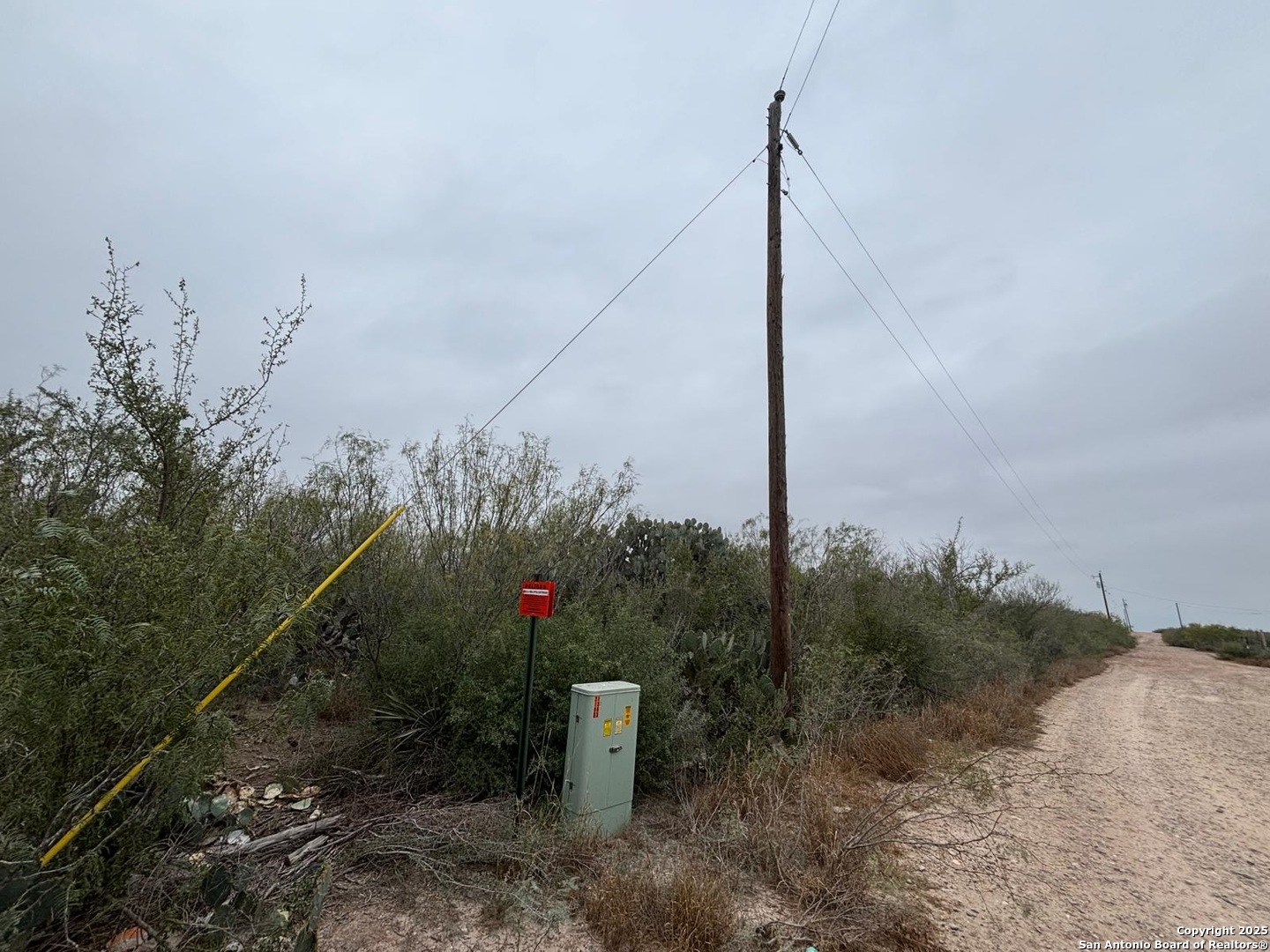 Lot 60 Ranchitos Los Fresnos Laredo, TX 78043 - Photo 8 of 12 a view of a flower in front of house