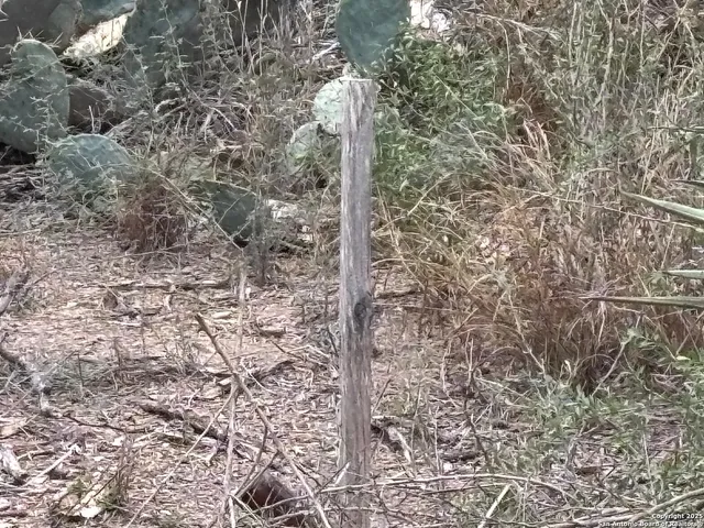 a close up of a sink
