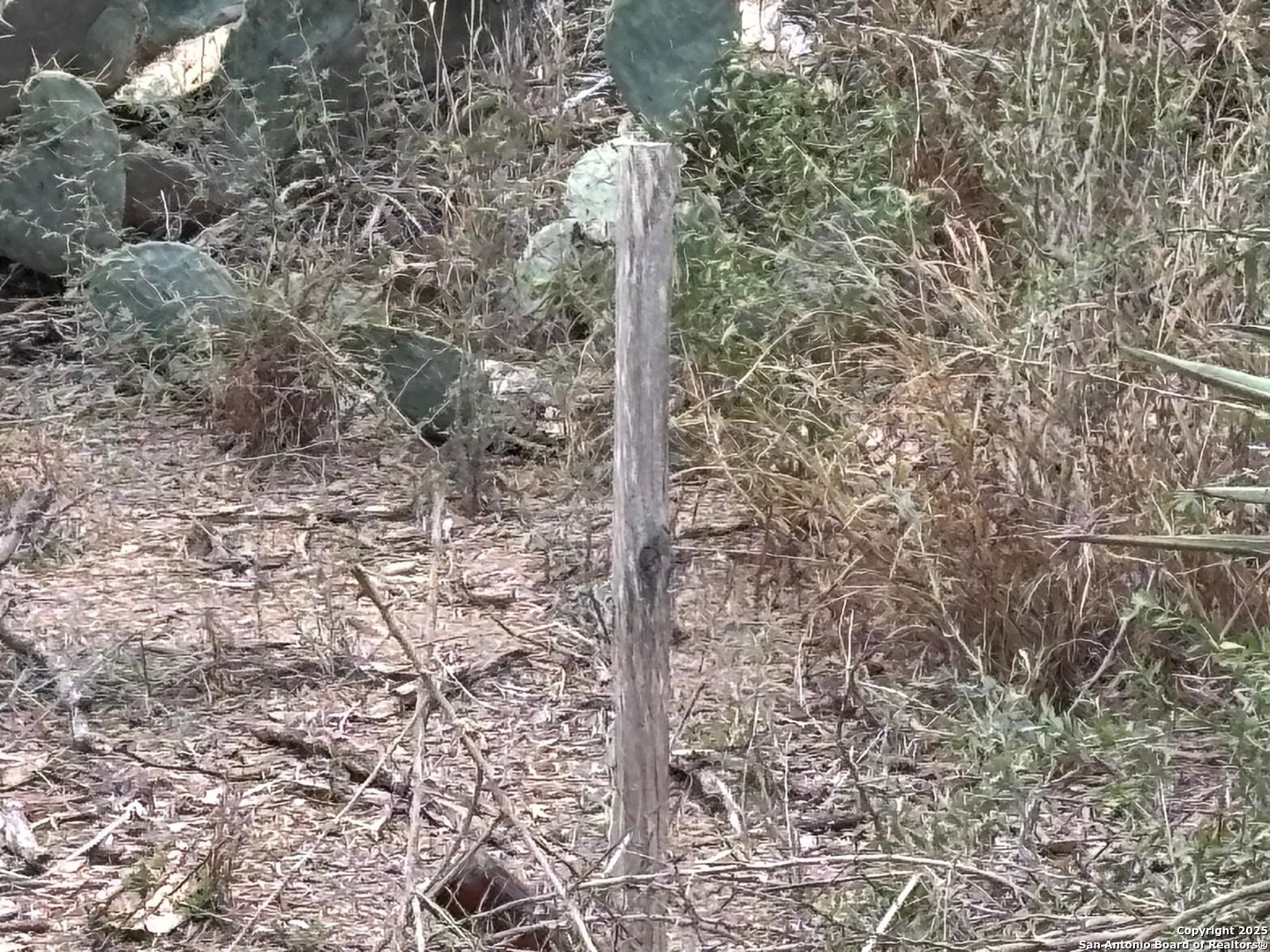 Lot 60 Ranchitos Los Fresnos Laredo, TX 78043 - Photo 9 of 12 a close up of a sink