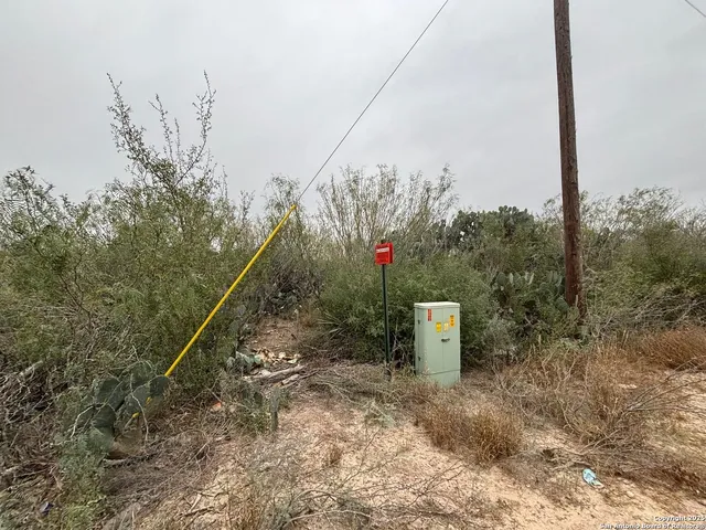 a green field with trees in the background