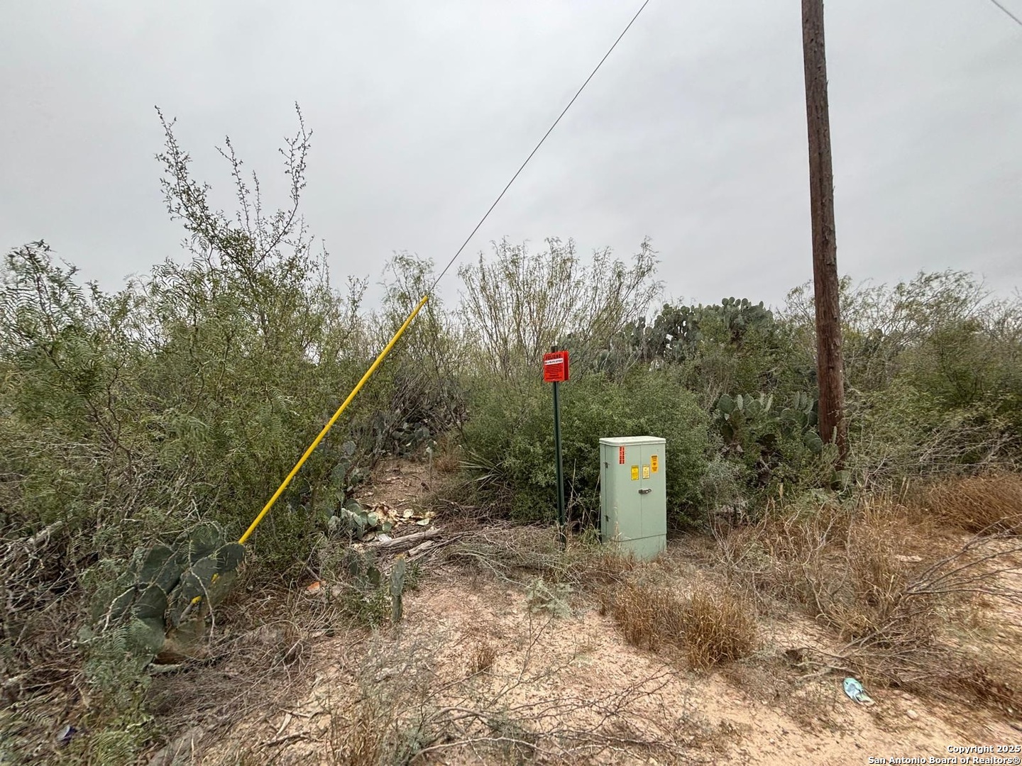 Lot 60 Ranchitos Los Fresnos Laredo, TX 78043 - Photo 10 of 12 a green field with trees in the background