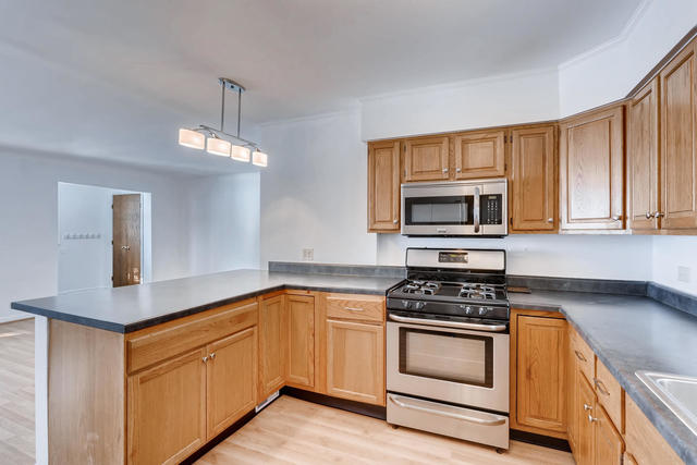 1725 Good Avenue Park Ridge, IL 60068 - Photo 7 of 24