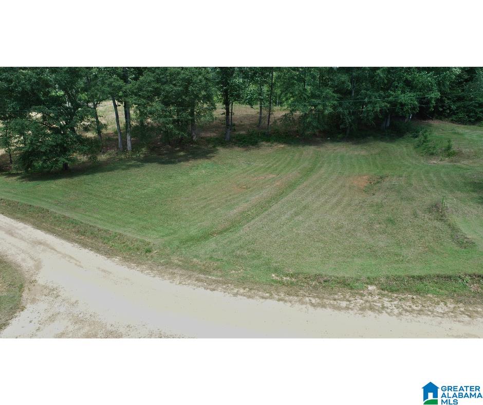 156 County Road 289 Wedowee, AL 36278 - Photo 48 of 53