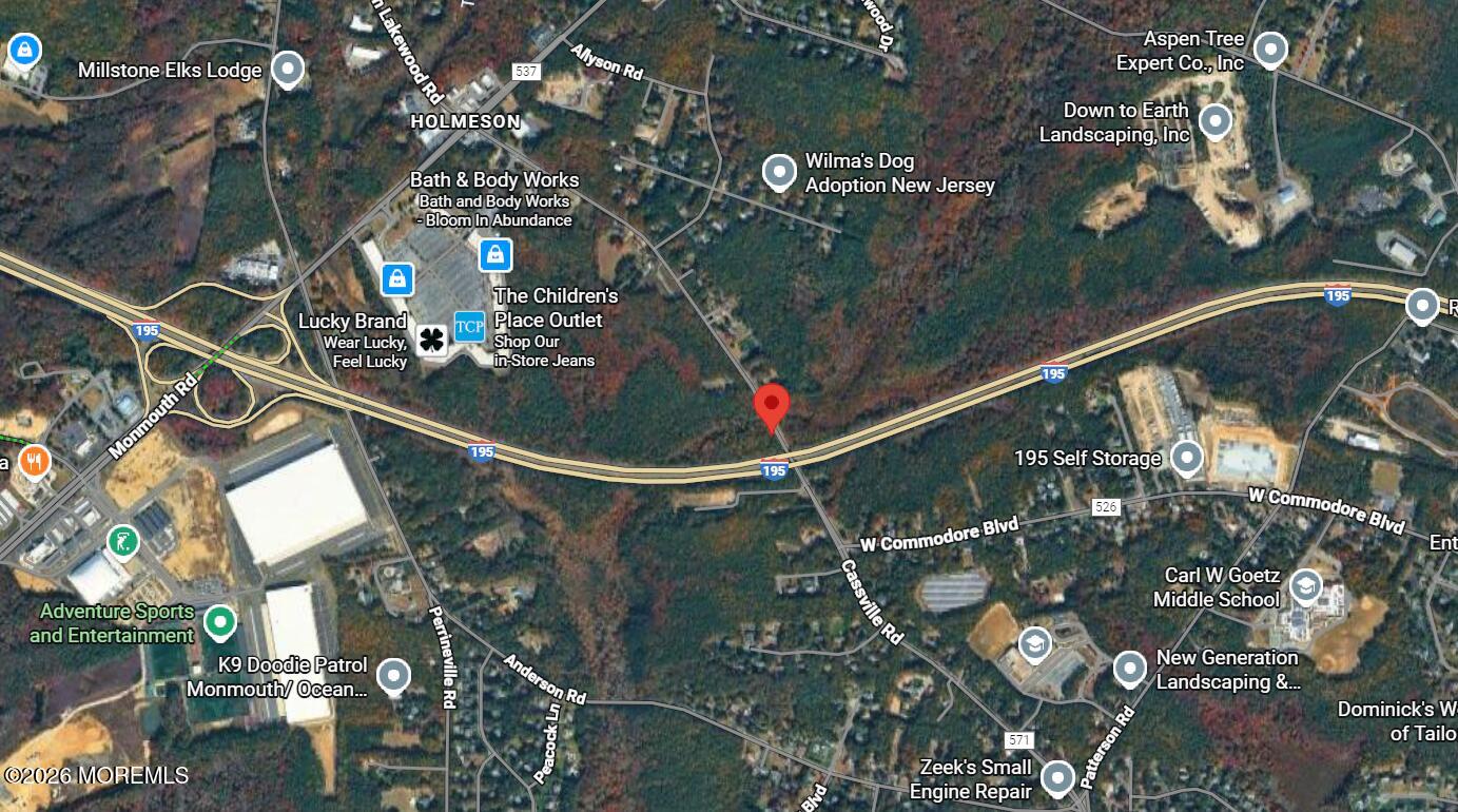 905 West Commodore Boulevard Jackson, NJ 08527 - Photo 3 of 5 a picture of tree