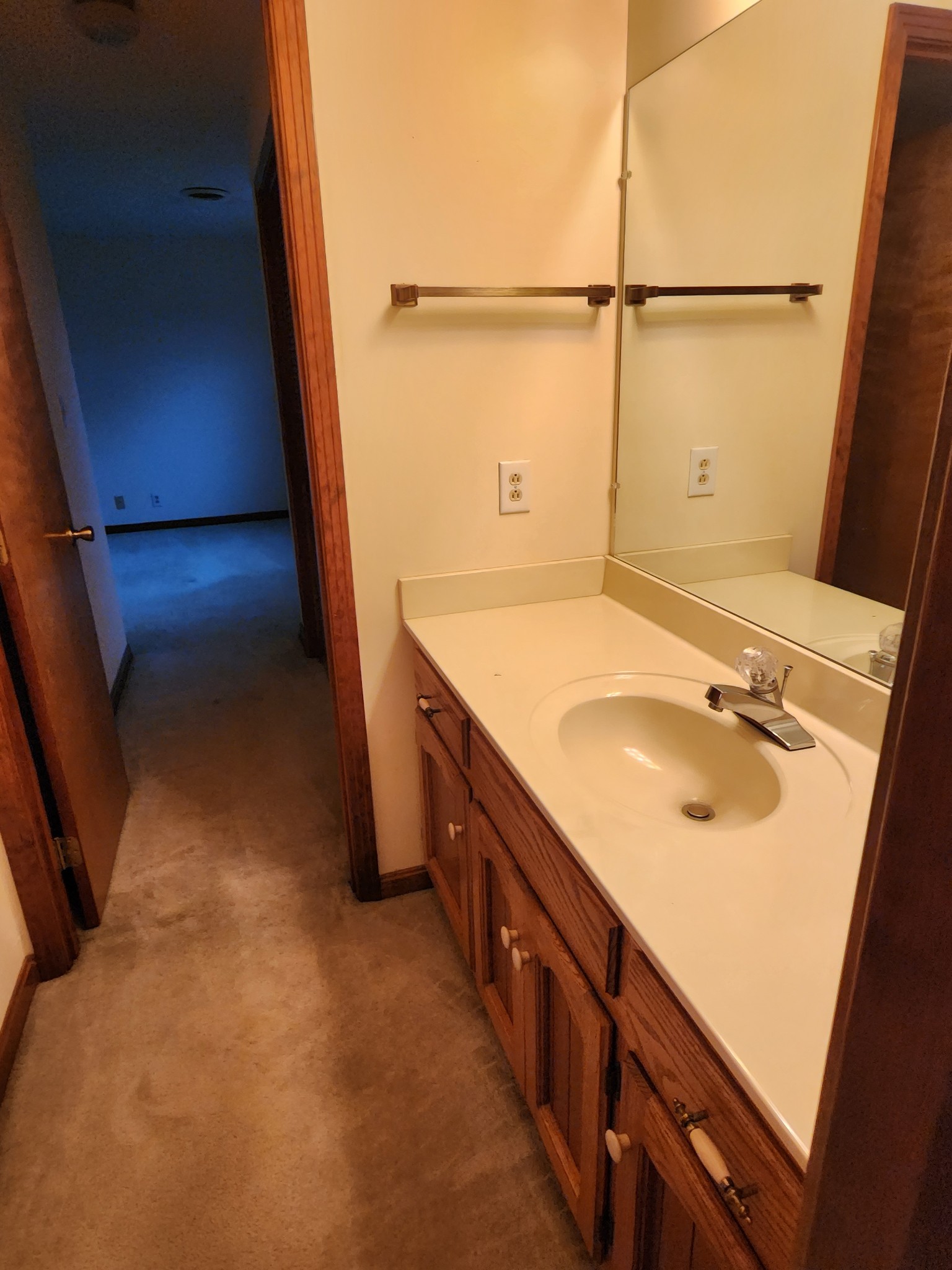 819 Branch Bend Road Clarksville, TN 37040 - Photo 14 of 24 a bathroom with a sink and a shower