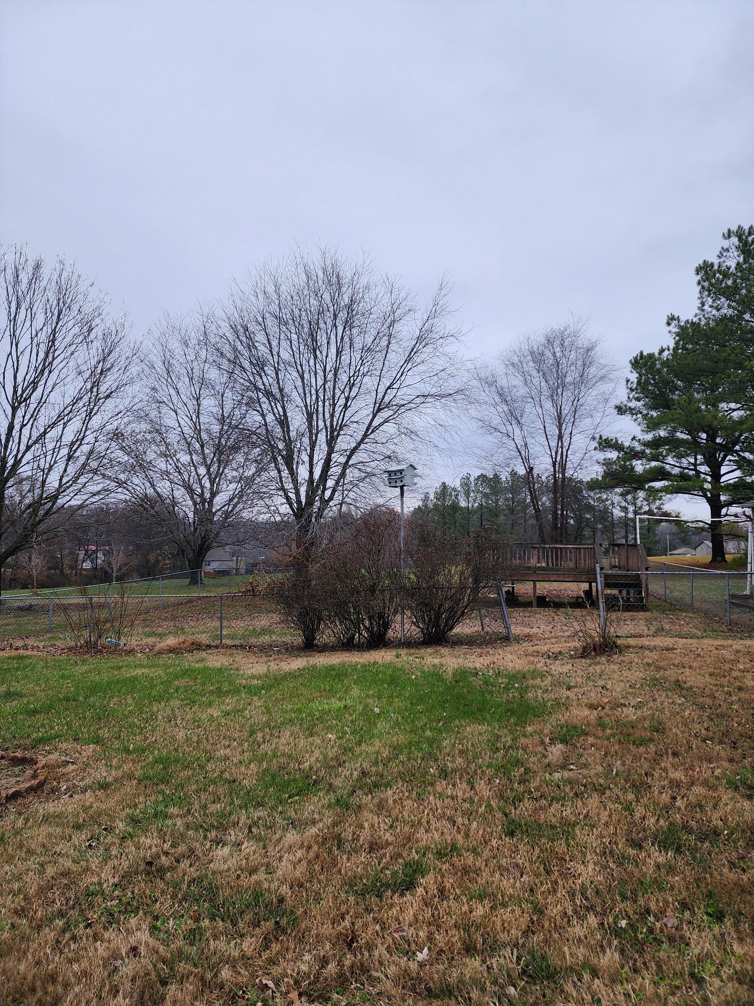 819 Branch Bend Road Clarksville, TN 37040 - Photo 3 of 24 a view of yard with tree s