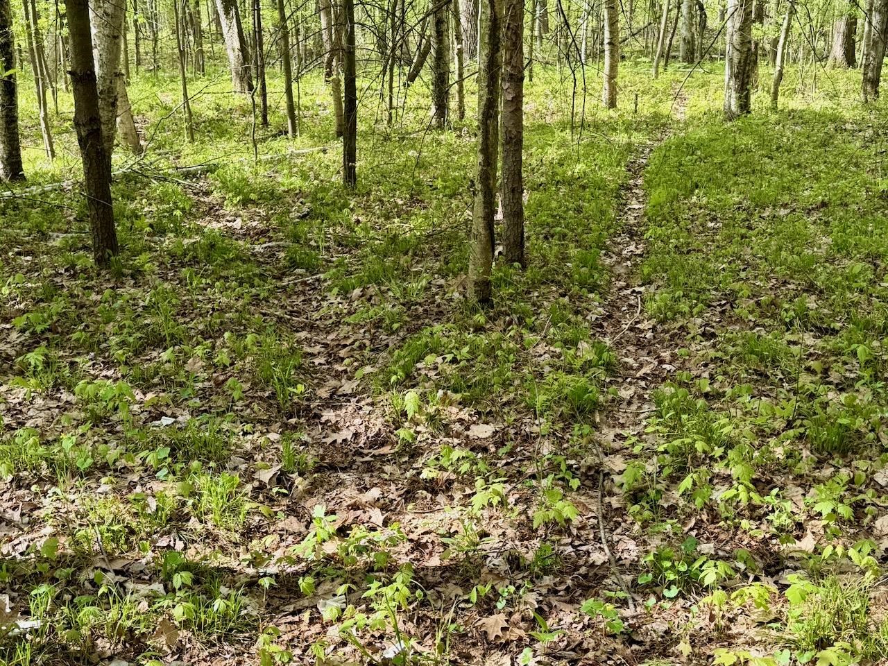 18303 West Marion Road Brant, MI 48614 - Photo 11 of 42