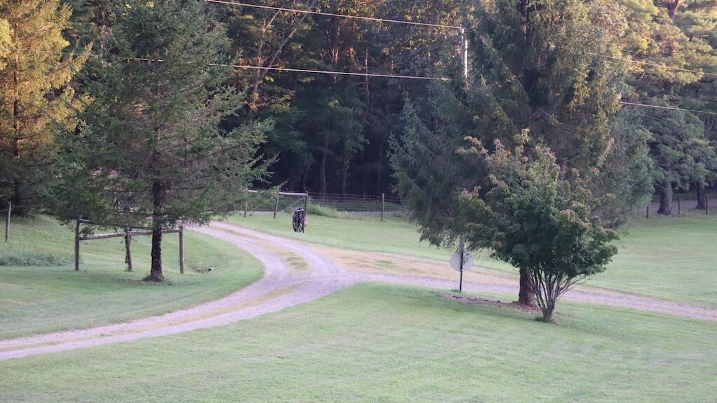 1247 Cannady School Road Southeast Floyd, VA 24091 - Photo 47 of 54 a view of backyard with green space