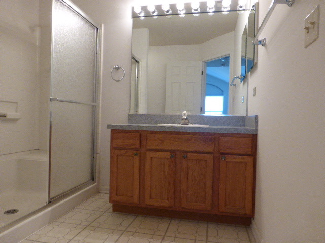 5614 Elizabeth Place, Unit 102 Rolling Meadows, IL 60008 - Photo 12 of 22 a bathroom with a sink and a mirror