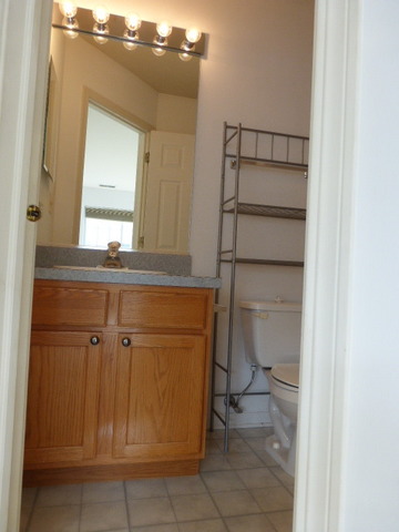 5614 Elizabeth Place, Unit 102 Rolling Meadows, IL 60008 - Photo 15 of 22 a bathroom with a granite countertop sink and a mirror