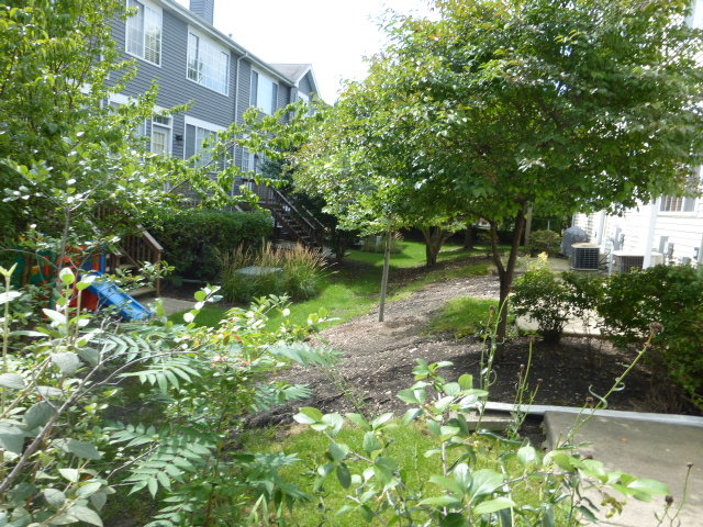 5614 Elizabeth Place, Unit 102 Rolling Meadows, IL 60008 - Photo 20 of 22 a backyard of a house with lots of green space and plants