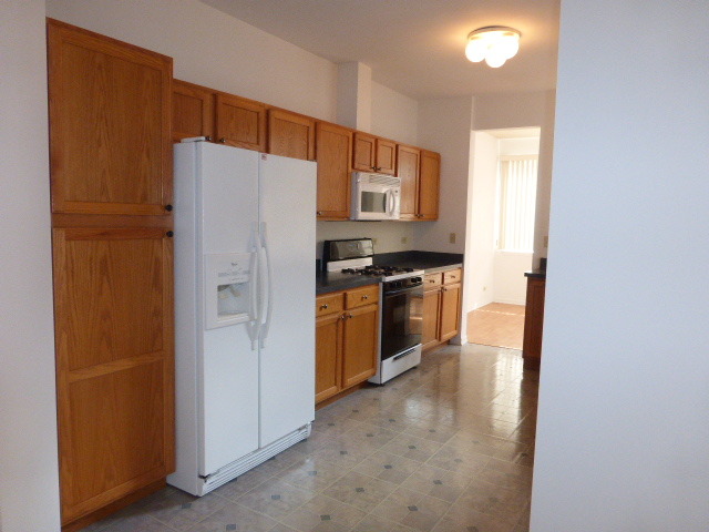 5614 Elizabeth Place, Unit 102 Rolling Meadows, IL 60008 - Photo 7 of 22 a kitchen with stainless steel appliances a refrigerator and a stove