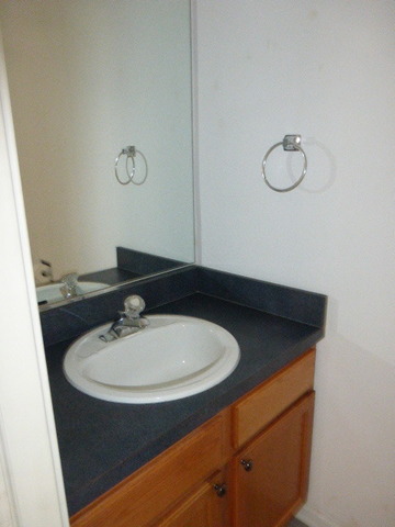 5614 Elizabeth Place, Unit 102 Rolling Meadows, IL 60008 - Photo 8 of 22 a bathroom with a sink and a mirror
