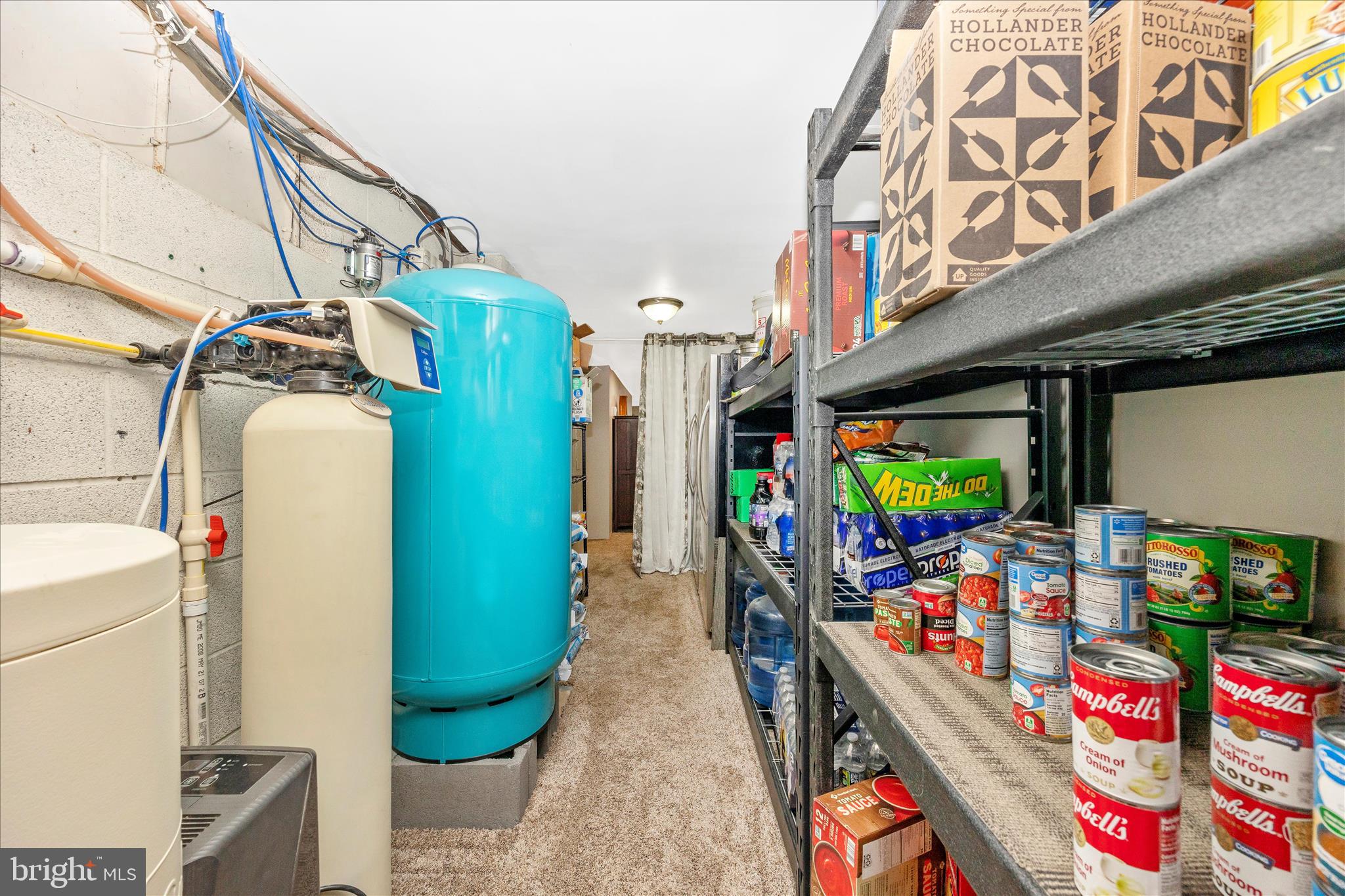 1676 Monument Road Middletown, MD 21769 - Photo 34 of 61 Lower Level-Utility/Storage