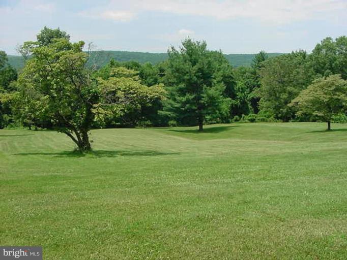 6353 Old Bust Head Road Warrenton, VA 20187 - Photo 3 of 13 a view of a green field with trees in the background