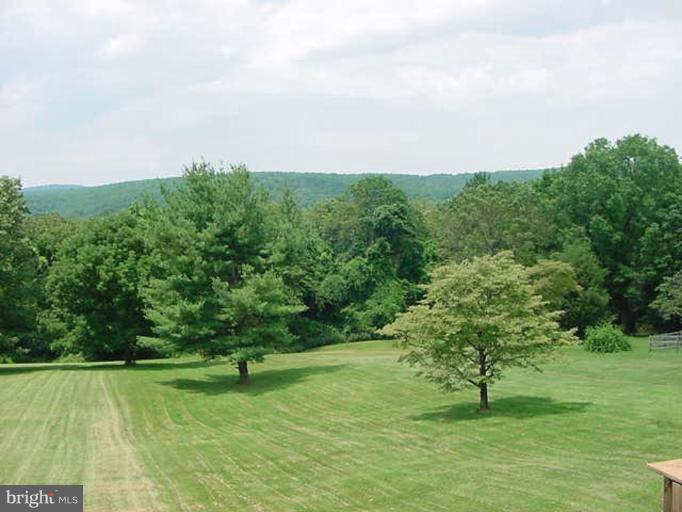 6353 Old Bust Head Road Warrenton, VA 20187 - Photo 4 of 13 a view of a field with a tree