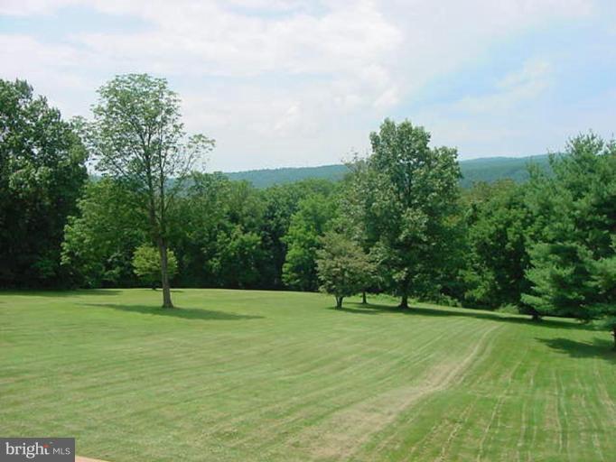 6353 Old Bust Head Road Warrenton, VA 20187 - Photo 5 of 13 a view of outdoor space with a garden and trees