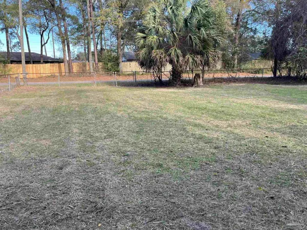 a view of a yard with a trees