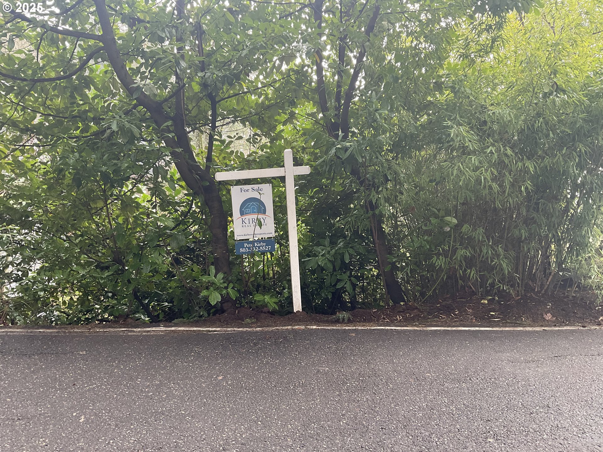 4410 Southwest Hewett Boulevard Portland, OR 97221 - Photo 12 of 17 a view of a house with a tree